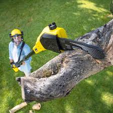  Lovington, NM Tree Removal and Landscaping Services Pros